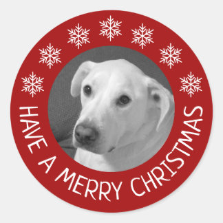 Adesivo Foto de Cachorro Branco Pacífico Feliz Natal Verme