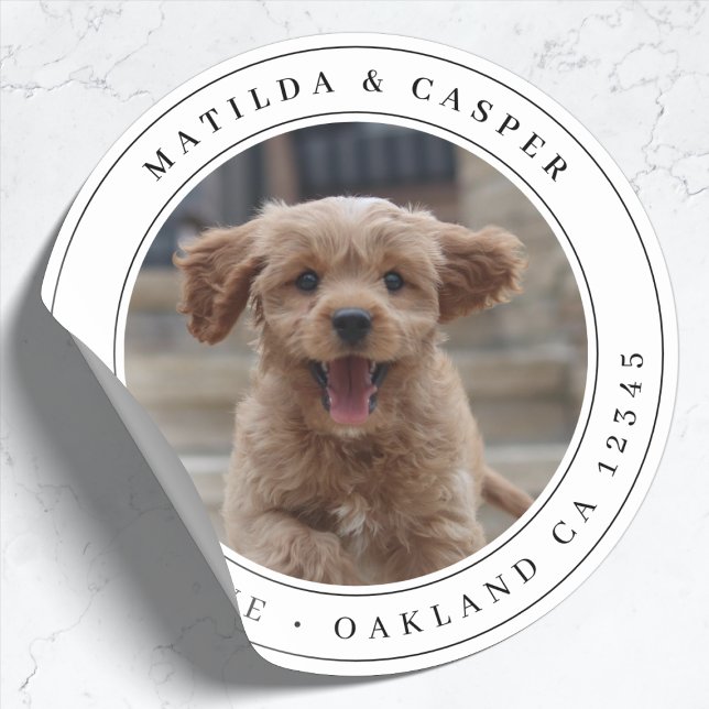 Adesivo Foto de Cachorro de Endereço de Devolução Sticker  (Criador carregado)