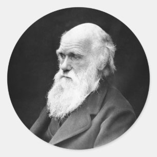 Adesivo Foto de Charles Darwin
