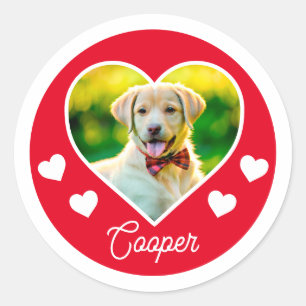 Adesivo Foto de Coração Personalizada de Pet de Cão