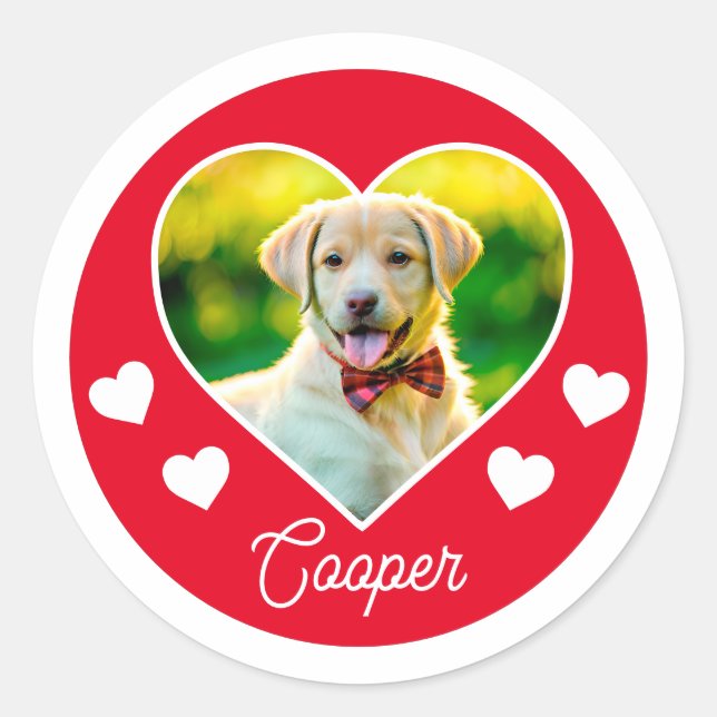 Adesivo Foto de Coração Personalizada de Pet de Cão (Frente)