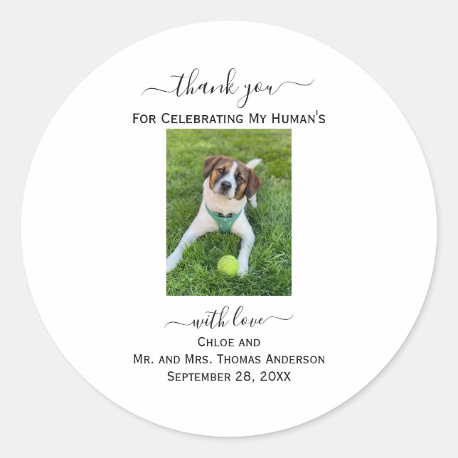 Adesivo Foto de Gato de Cachorro Meu Humano Obrigado Favor (Frente)