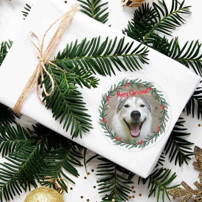 Adesivo Foto de Natal Holly Wreath (Dog stickers)