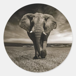 Adesivo Foto do Elefante Bull Wildlife