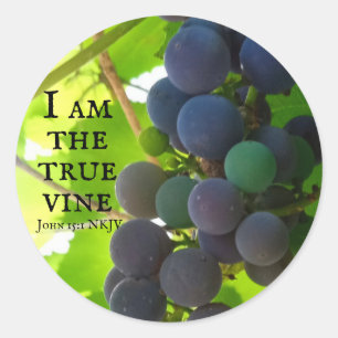 Adesivo Foto do Evangelho de Uvas Roxas de John Bíblia Ver