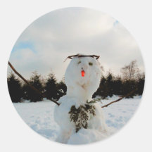 Foto do verdadeiro boneco de neve