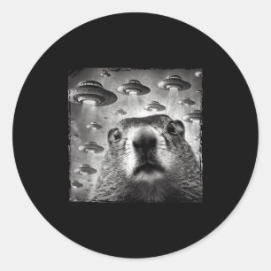 Adesivo Foto engraçada do Groundhog com alienígenas Ufos G