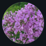 Adesivo Foto floral roxa lilás romântico elegante roxo<br><div class="desc">O cheiro de Primavera no ar - Ame Lilacs! Bonito fotografia lilás roxa -</div>