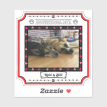 Foto incondicional de Cachorro de Amor com Coraçõe