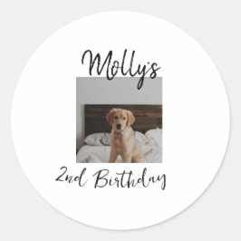 Adesivo Foto moderna de aniversário de um gato de cão