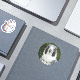 Adesivo Foto Peregrine Falcon do Dia da Terra Todos os Dia