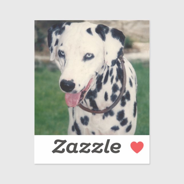 Adesivo Foto Personalizada Do Meu Amigo De Pet (Folha)