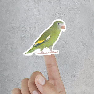 Adesivo Foto Personalizada Engraçado Pet Cortado