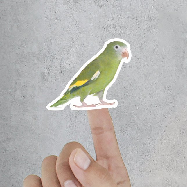 Adesivo Foto Personalizada Engraçado Pet Cortado (Funny Pet Cut Out Custom Photo Sticker
)