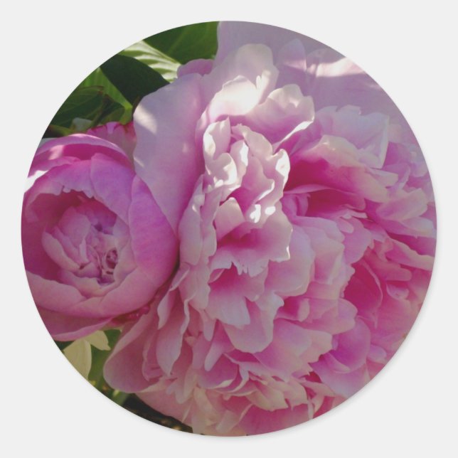 Adesivo Foto rosa de Peony caseiro caseiro caseiro floral (Frente)