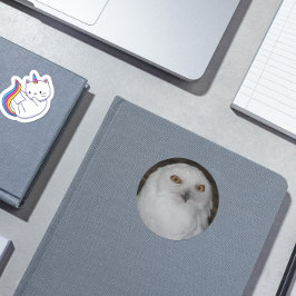 Adesivo Foto White Snowy Owl