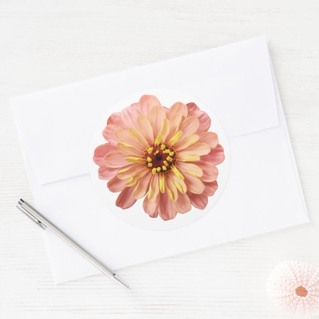 Adesivo Fotografia da Flor Floral Zinnias (Envelope)