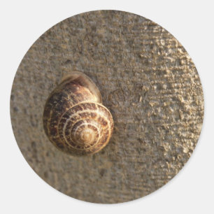 Adesivo Fotografia da Natureza de Caracol de Jardim