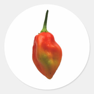 Adesivo Fotografia da pimenta de Habernero única