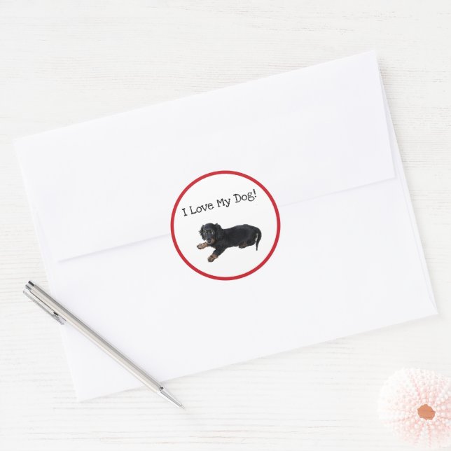 Adesivo Fotografia de Cachorrinho Dachshund Cocker Spaniel (Envelope)