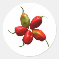 Fotografia de Cinco Pimentos Hábanero Quentes