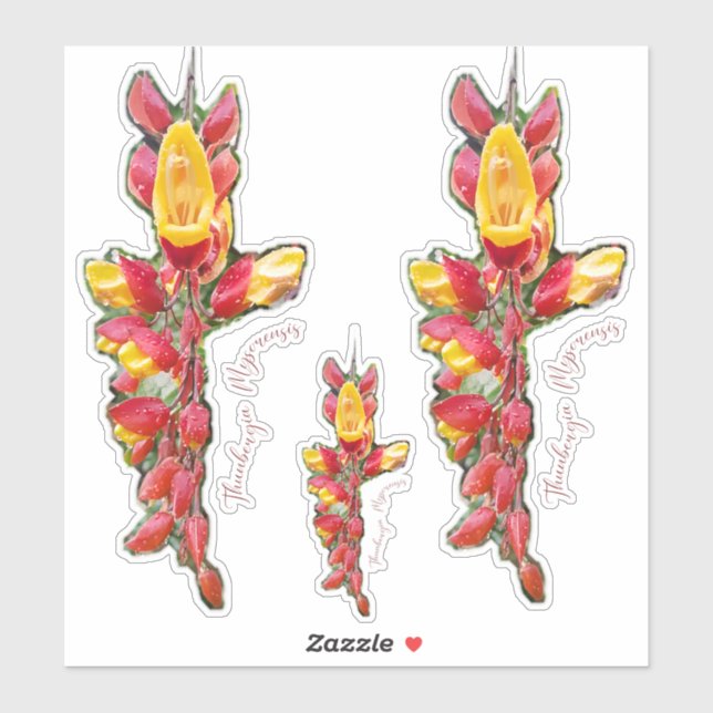 Adesivo Fotografia de flor (Folha)