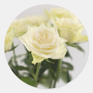 Adesivo Fotografia de Flores de Rosas Brancas Elegantes