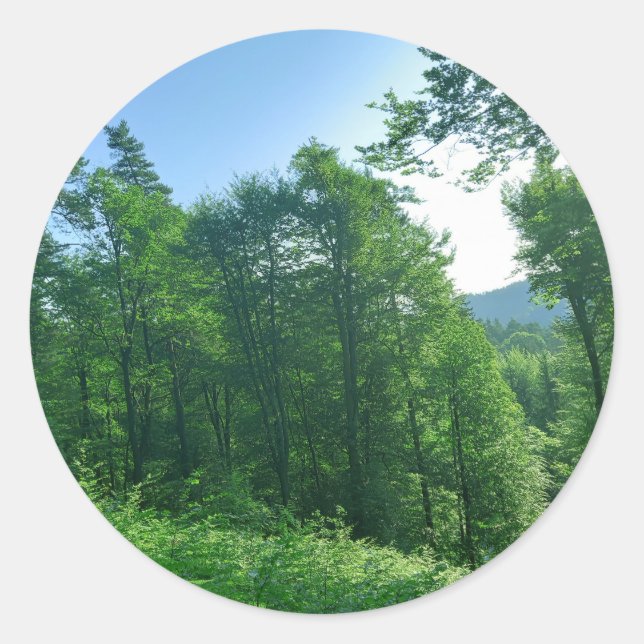 Adesivo Fotografia de Paisagem Verde (Frente)