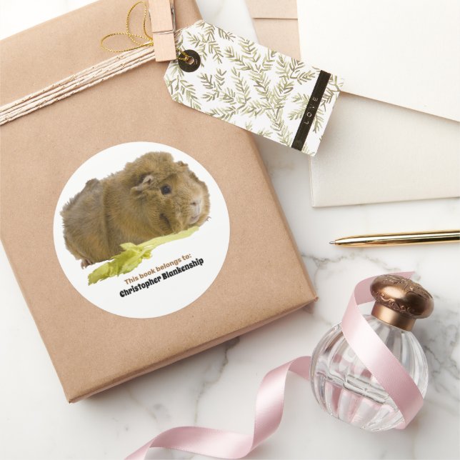 Adesivo Fotografia de Porquinho-da-Índia Adorável Comendo  (Presentear)