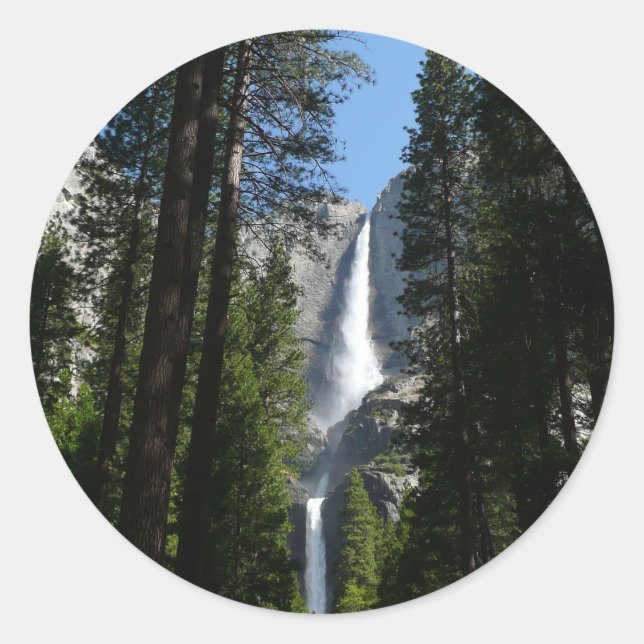 Adesivo Fotografia de Yosemite Falls and Woods Landscape (Frente)