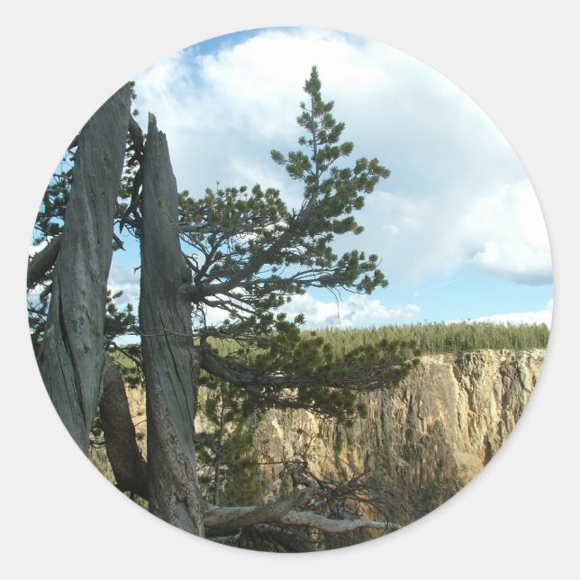 Adesivo Fotografia do Parque Nacional Yellowstone (Frente)