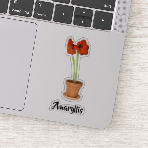 Adesivo Fotografia Floral de Amaryllis Vermelha Potada Cor
