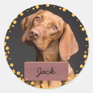 Adesivo fotografia personalizada de cão de Natal de flor