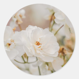 Adesivo Fotos da Natureza de Flores Brancas Românticas de 