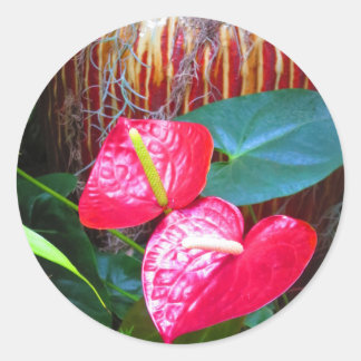 Adesivo Fotos Florais de Flor do Longwood Gardens