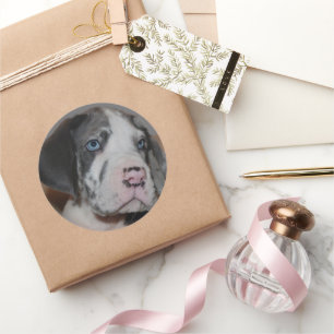 Adesivo Fotos Personalizadas de Cachorro com Olhos Azuis e