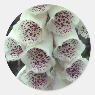 Adesivo Foxglove branco