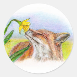 Adesivo Foxy