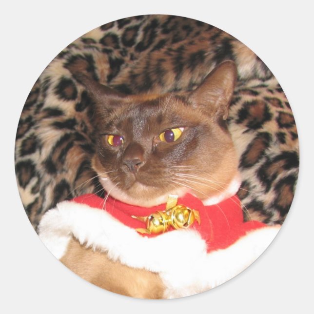 Adesivo FPG Xmas Burmese 2 - (Frente)