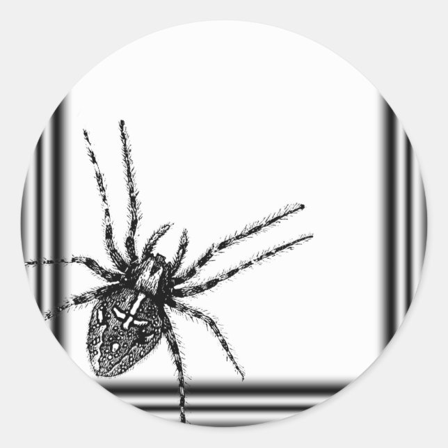 Adesivo Frame Tarantula Halloween (Frente)