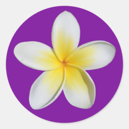 Adesivo Frangipani