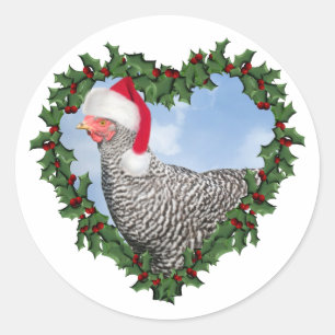 Adesivo Frango de Natal * Barred Rock