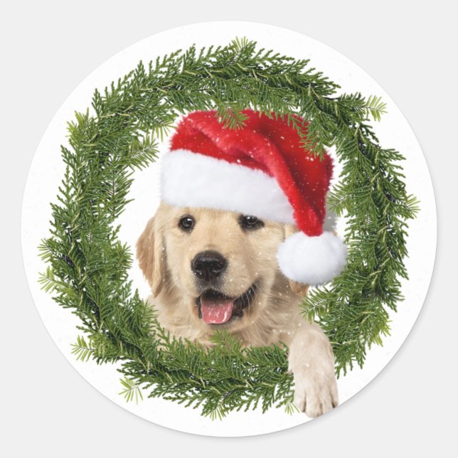 Adesivo Frasto de Natal do ouro Retriever (Frente)