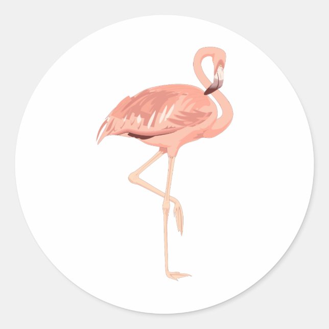 Adesivo Freddy Flamingo (Frente)