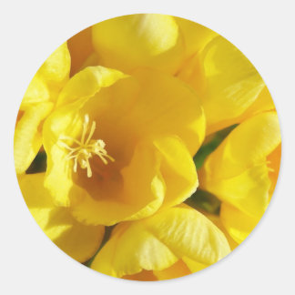 Adesivo Freesia Amarela