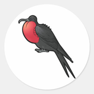 Adesivo Frigatebird magnífico