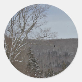 Adesivo Frio e solitário