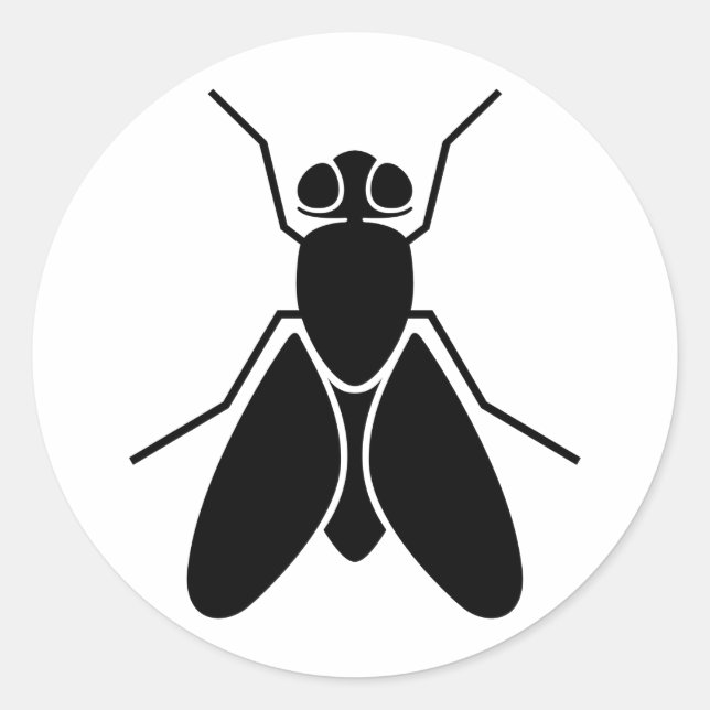 Adesivo Fruta (Frente)