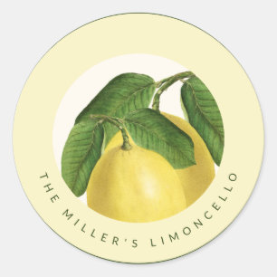 Adesivo Fruta Cítrica   Limões   Limoncello Caseiro
