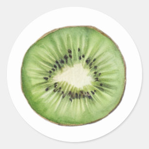 Adesivo Fruta de Kiwi em Aquarela de Verão Fashion
